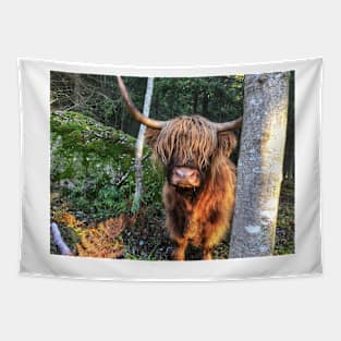 Scottish Highland Cattle Cow 2136 Tapestry