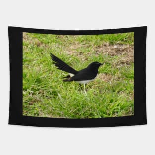 Willie Wagtail Tapestry