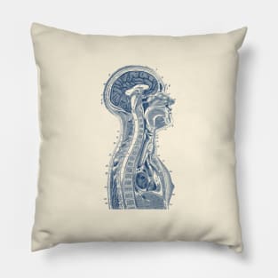 Upper Body Diagram - Vintage Anatomy Pillow