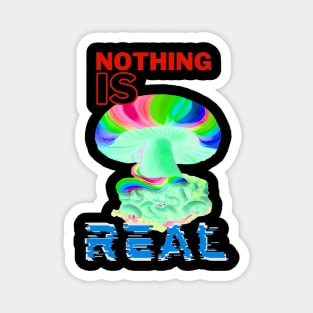 Nothing is real - Down the rabbit hole edition Magnet