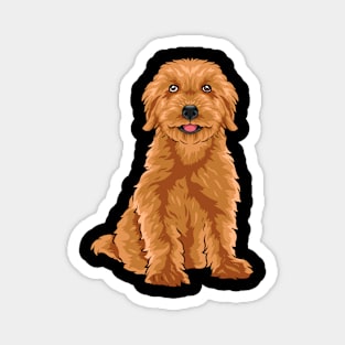A super cute Goldendoodle looks at you. Magnet
