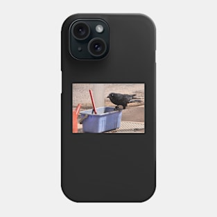 "Yes, I'll Clean Your Window." Australian Crow Phone Case