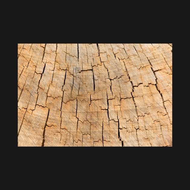 Naturally cracked wood by textural