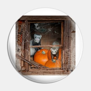 Ferrets Halloween Pumpkin Guard - Ferret art design Pin