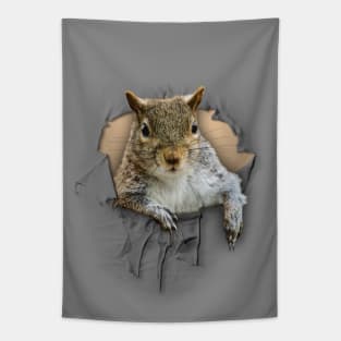 Ripped Shirt Squirrel - funny squirrel lover  Tapestry