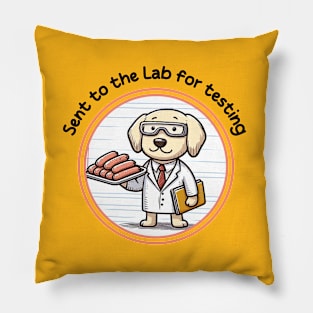 Sent to the lab for testing Pillow