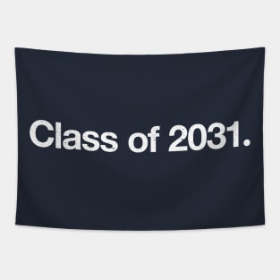 Class of 2031. Tapestry