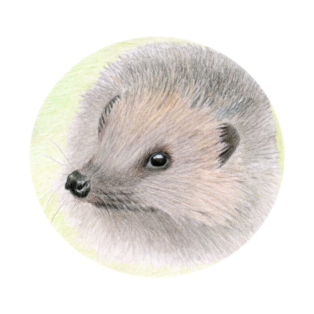 Young Hedgehog by lindaursin