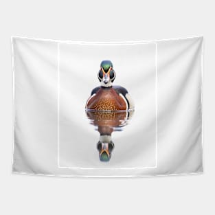 Wood duck swimming in Spring Tapestry