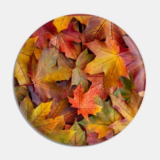 Colourful Maple Leaves Pin