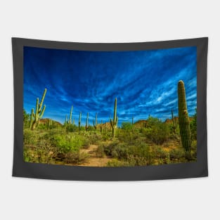 Saguaro National Park Tapestry