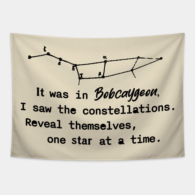 Bobcaygeon Tapestry by CS Designs