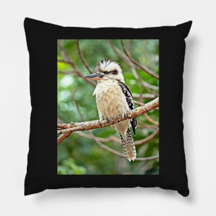 Kookaburra: Photography plus digital art Pillow