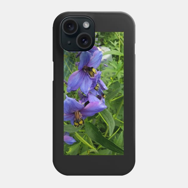 Close up purple delphinium Phone Case by Kim-Pratt