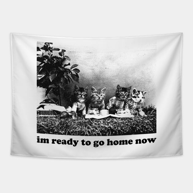 I'm ready to go home now Tapestry by averymuether