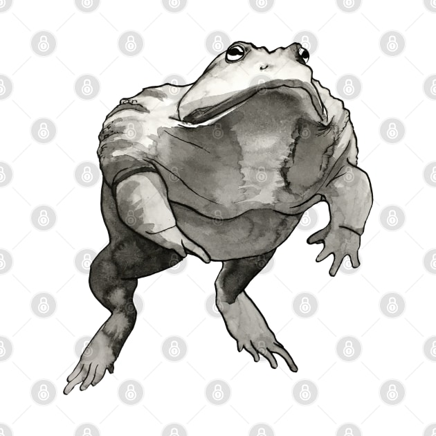 African Bullfrog Black and White Ink Drawing by Ciarabarsotti