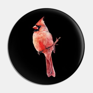 Cardinal Bird Apparel Wonderland Pin