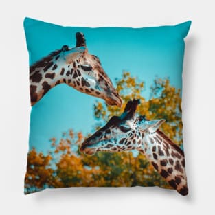 Couple of Giraffes Photograph Pillow