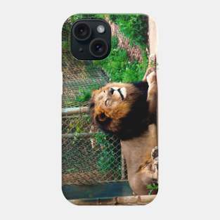 The King of the Jungle Phone Case