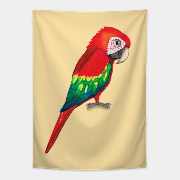 Scarlet macaw Tapestry by Bwiselizzy