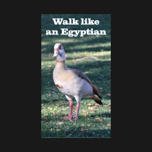 Walk like an Egyptian Goose T-Shirt