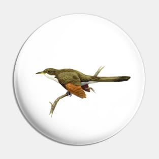 Yellow-billed Cuckoo Pin