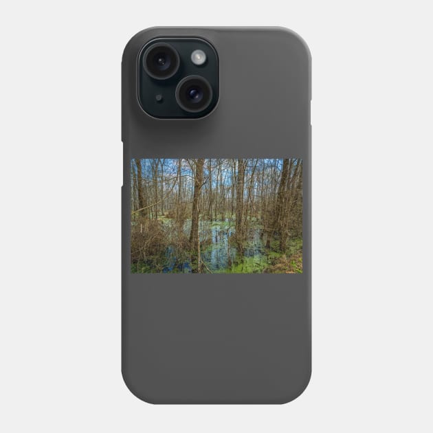 Swamp in Southeastern Georgia Phone Case by Gestalt Imagery