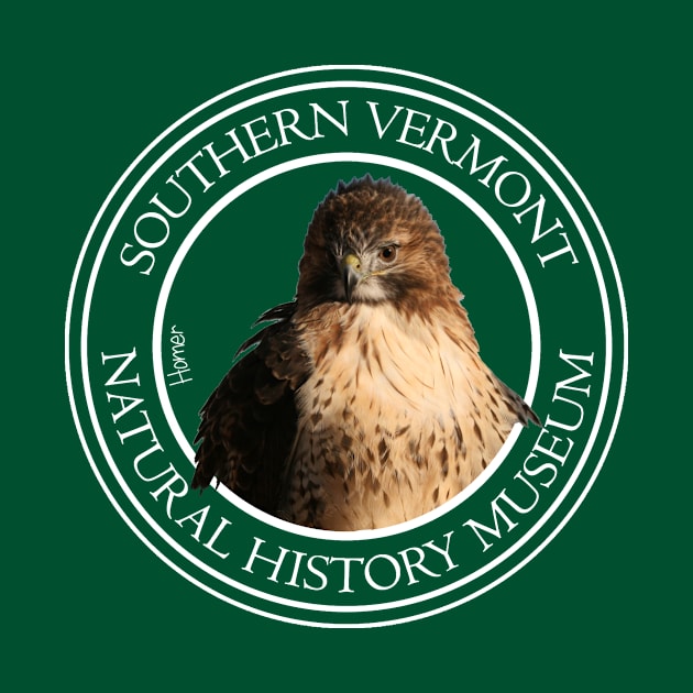 Homer the red tailed hawk by VermontMuseum