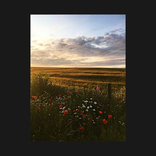 Countryside Sunset in Aberdeenshire, Scotland T-Shirt