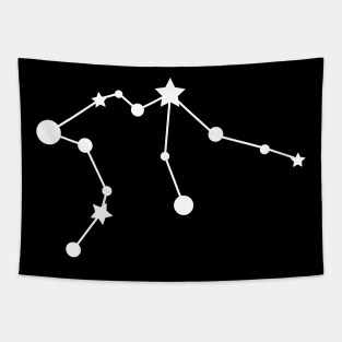 Aquarius Zodiac Constellation in White Tapestry