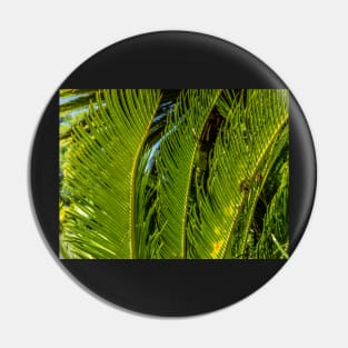 Sago Palm Pin