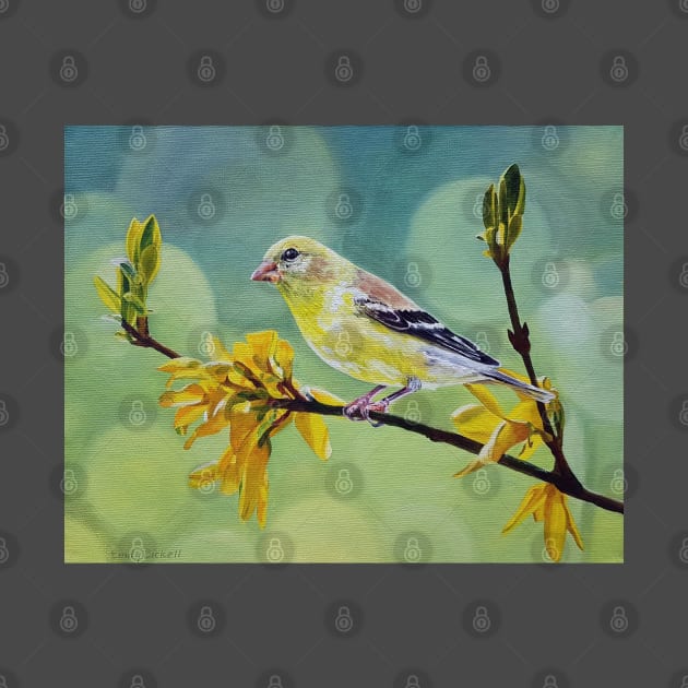 American Goldfinch and Forsythia painting by EmilyBickell