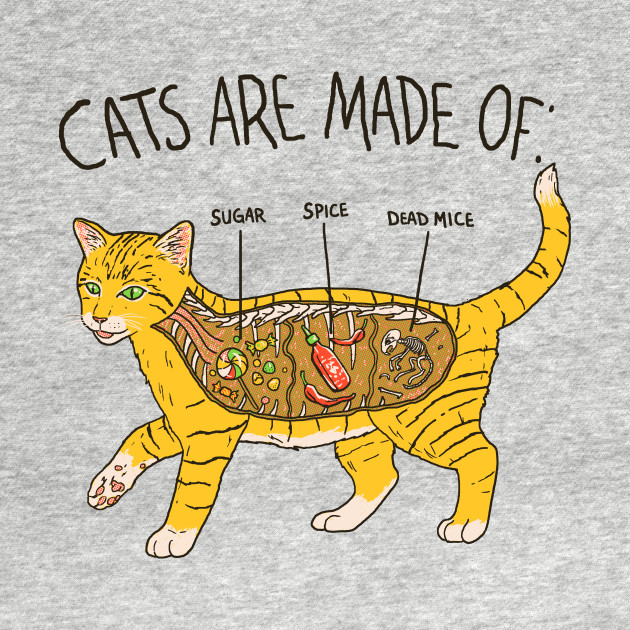 Cat Anatomy Cats Tank Top Teepublic