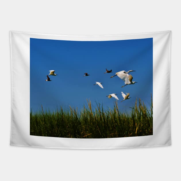 Fly Away - Coastal Wildlife Tapestry by BeachBumPics