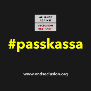 Simple #passkassa T-Shirt