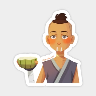 Sokka Magnet