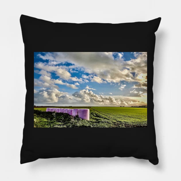 Les Champs Malo de Plougonvelin Pillow by rollier