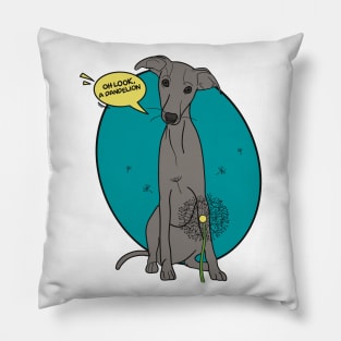 Funny greyhound design; Grey Italian greyhound with a dandelion flower Pillow