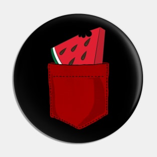 Pocket Watermelon Pin