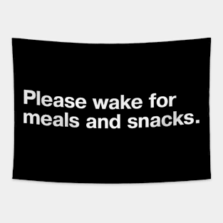 Please wake for meals and snacks. Tapestry