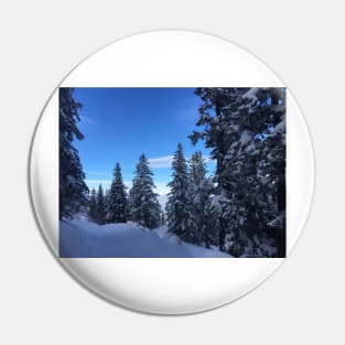 Snowy hike Pin