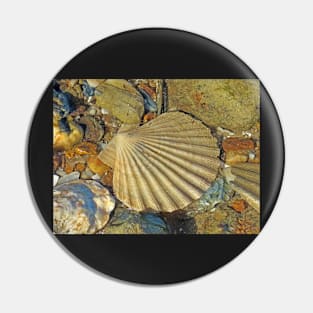 Scallop Fossil Pin