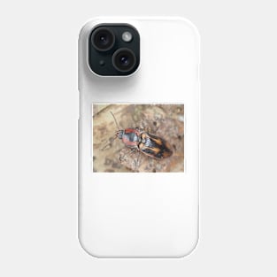 Click beetle identified as Selatosomus festivus Phone Case