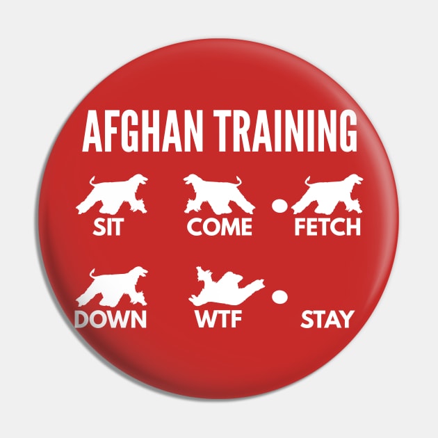 Afghan Hound Training Boxer Dog Tricks Pin by DoggyStyles