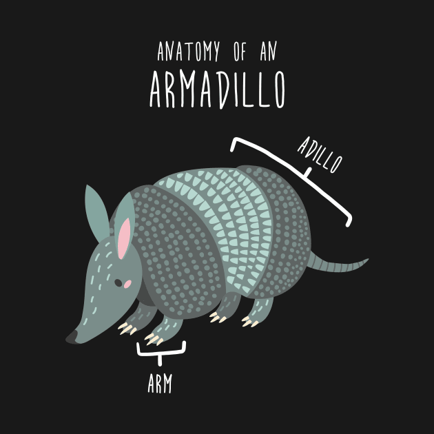 Armadillo Animal Anatomy by Psitta