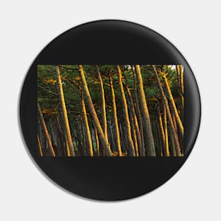 Deep Forest Pin