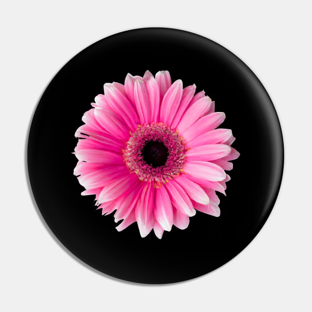 Solitary Gerbera Pin by Zenflow