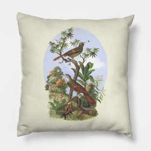 Tropical Birds Nature Illustration Pillow