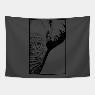 Elephant Close Up Face Tapestry