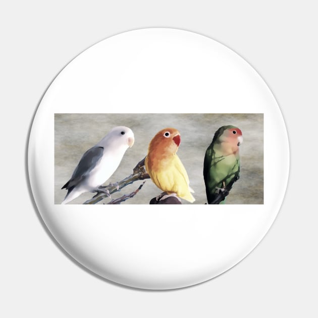 Lovebirds are beautiful birds Pin by sundressed